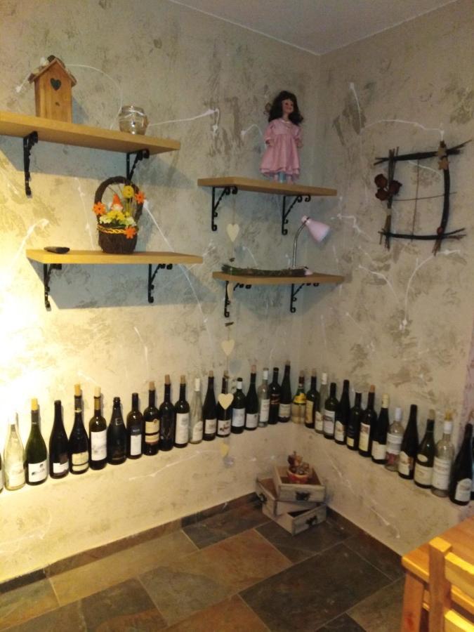 Ubytovani U Janca レドニツェ エクステリア 写真